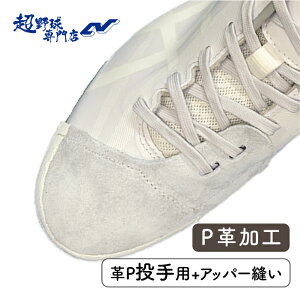 싅XCVH PvH(vPp+Abp[D) v 싅 XpCN PJo[ sb`[Jo[ Pvt CBł DP XpCNwΏ