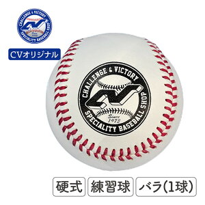 싅XCVIWi 싅 {[ d CVIWidK 1(o) wƂقړ̃E[ܗL CVORIBALL