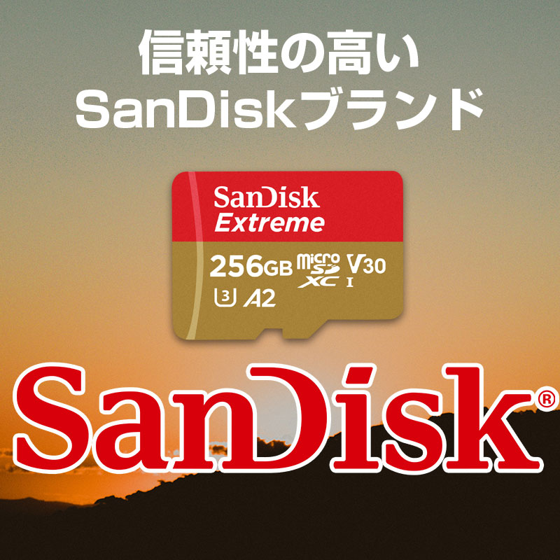 68％以上節約68％以上節約マイクロsdカード MicroSDXC 256GB SanDisk サンディスク UHS-I U3 V30 4K A2対応  Class10 R:190MB S W:130MB S Nintendo Switch動作確認済 海外パッケージ 送料無料 SDSQXAV-256G- GN6MN TV・オーディオ・カメラ