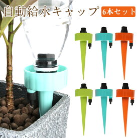 自動給水キャップ じょうろ 自動水やり器 自動給水器 水やり当番 水遣り機 自動散水システム 6本セット ランダムカラー 宅配便送料無料 春爆売れ