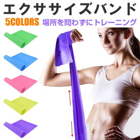 【20日限定ポイント5倍】エクササイズバンド ヨガベルト ヨガバンド ストレッチ ゴムバンド トレーニング 補助器具 フィットネス【翌日配達送料無料】