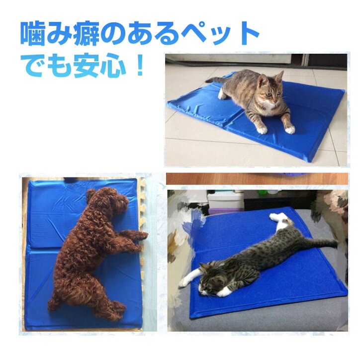 楽天市場】ペット用 クールマット 犬 猫 ドッグ ひんやりマット 涼感パッド 犬用 猫用 多用途 夏 熱中症 【翌日配達送料無料】 : SPD楽天市場店 楽天市場】ペット用 クールマット 犬 猫 ドッグ ひんやりマット 涼感パッド 犬用 猫用 多用途 夏 熱中症 【翌日配達送料無料】 : SPD楽天市場店