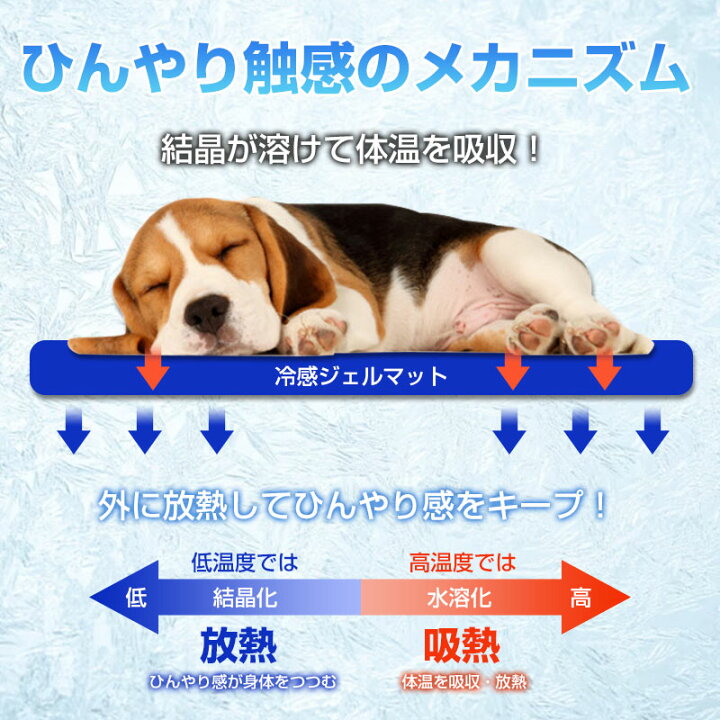 楽天市場】ペット用 クールマット 犬 猫 ドッグ ひんやりマット 涼感パッド 犬用 猫用 多用途 夏 熱中症 宅配便送料無料 あす楽対応 夏対策 : SPD楽天市場店 楽天市場】ペット用 クールマット 犬 猫 ドッグ ひんやりマット 涼感パッド 犬用 猫用 多用途 夏 熱中症 宅配便送料無料 あす楽対応 夏対策 : SPD楽天市場店