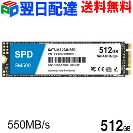 SPD製SSD 512GB M.2 2280 SATA III 6.0Gb/s R: 550MB/s W: 500MB/s 3D NAND SM500-512GST【3年保証・翌日配達送料無料】
