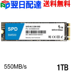 SPD製SSD 1TB M.2 2280 SATA III 6.0Gb/s R: 550MB/s W: 500MB/s 3D NAND SM500-001TST【3年保証・翌日配達送料無料】