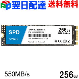 SPD製SSD 256GB M.2 2280 SATA III 6.0Gb/s R: 550MB/s W: 500MB/s 3D NAND TLC SM500-256GST【3年保証・翌日配達送料無料】