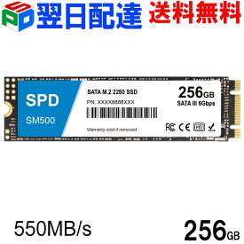 【お買い物マラソンポイント5倍】SPD製SSD 256GB M.2 2280 SATA III 6.0Gb/s R: 550MB/s W: 500MB/s 3D NAND SM500-256GST【3年保証・翌日配達送料無料】