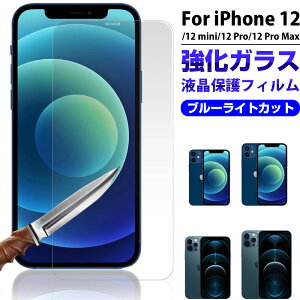iPhone 12 12 Pro 12 Pro Max 12 mini�p �t���ی�t�B���� �u���[���C�g�J�b�g �K���X�t�B���� �����K���X�y�����z�B���������z