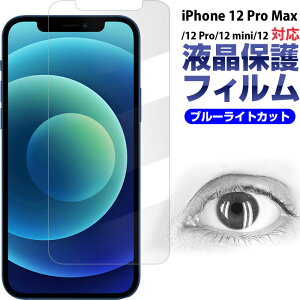 iPhone 12/12 Pro/12 mini/12 Pro MaxptیtB u[CgJbg \tgtB 