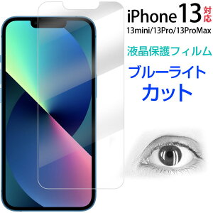iPhone 13 iPhone 13 Pro iPhone 13 Pro Max iPhone 13 mini�p �t���t�B���� �u���[���C�g�J�b�g ����h�~ �\�t�g�i�m�t�B���� ��������