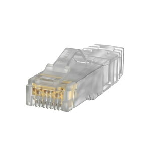 �p���h�E�C�b�gCTE6A�E���W����P 100��SP6X88-C