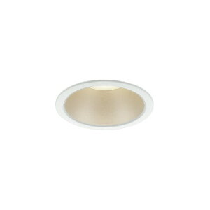 RCY~Ɩ GNXeA LED_ECg RtH[g p hJh^ p CSB`  60W 100 pE_[zCg dF:AD1240W27 F:AD1240W35