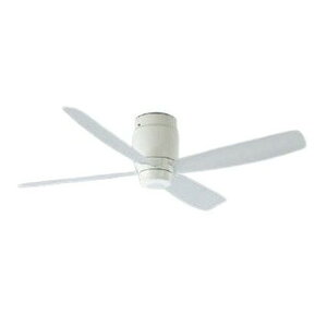 RCY~Ɩ V[Ot@ { CeAt@ G-V[Y Rt tȈՌ^ F AEE595029