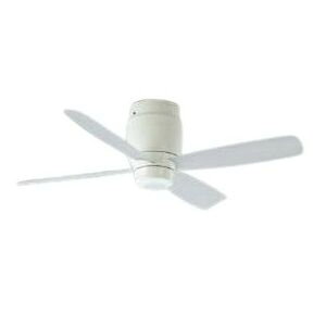 RCY~Ɩ V[Ot@ { CeAt@ G-V[Y Rt tȈՌ^ F AEE595031