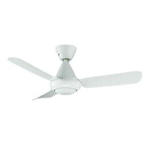 RCY~Ɩ V[Ot@ { CeAt@ L-V[Y Ȃ^Cv Rt F AEE695092