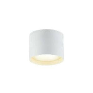 �R�C�Y�~�Ɩ� LED�V�[�����O���C�g ���^ 100W���� �t�@�C���z���C�g �d���F:AH54203 �����F:AH54204 �����F:AH54205