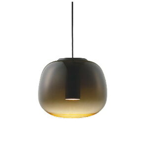 RCY~Ɩ LEDy_gCg 40W _[NO[^bN dF:AP54835