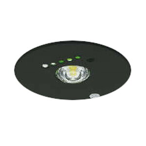 RCY~Ɩ LED퓔 Zp ^ dr` pnQ13W 100 F AR52849