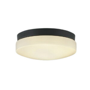 RCY~Ɩ GNXeA LEDV[OCg p FCL30W F dF:AU55988 F:AU55989