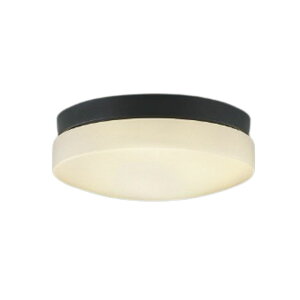 �R�C�Y�~�Ɩ� �G�N�X�e���A LED�V�[�����O���C�g �����p FCL20W���� ���F �d���F:AU55992 �����F:AU55993