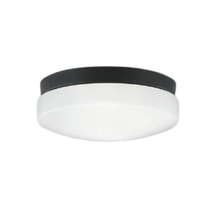 RCY~Ɩ GNXeA LEDV[OCg p FCL20W F dF:AU55992 F:AU55993
