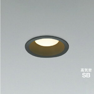 �R�C�Y�~�Ɩ�LED�_�E�����C�g ���C��SB�` �h�J�h���^���M��60W���� �񒲌� ���ω� ��100 �u���b�N2700K �d���F�FAD7250B27