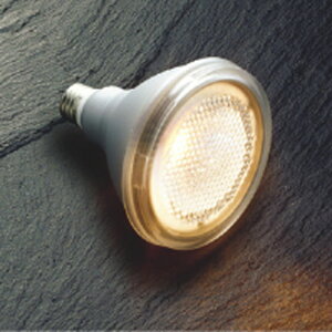 �R�C�Y�~�Ɩ� LED�����v �r�[�����` ����E26 LDR6L-W/100W/2 �{�f�B�V���o�[ 2700K�d���F�FAE57624