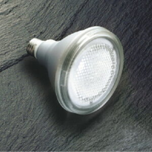 �R�C�Y�~�Ɩ� LED�����v �r�[�����` ����E26 LDR10N-W/150W/2 �{�f�B�V���o�[ 5000K�����F�FAE57627
