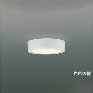 �R�C�Y�~�Ɩ�LED���^�V�[�����O���C�g���M��60W���� 2���F�ؑցE�񒲌� �t�@�C���z���C�g�d���F|�����F�FAH57249