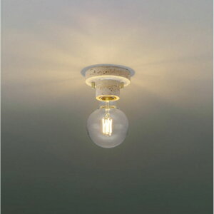 RCY~ƖLED^V[OCgM40W 񒲌 go[`2700K dFFAH57352