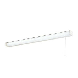 I[fbN LEDLb`Cg 񒲌 FL20W×2 _ؑ֌^ XCb`t F:OB555102R