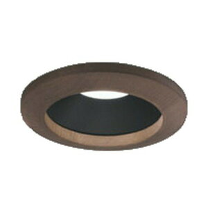 �I�[�f���b�N LED�_�E�����C�g �ؘg ���M��60W���� ��������100 �����^�C�v ������ʔ� �����F:OD261671R �d���F:OD261672R