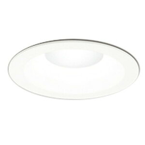 �I�[�f���b�N LED�_�E�����C�g ���M��100W���� ��������125 �����F:OD261901R