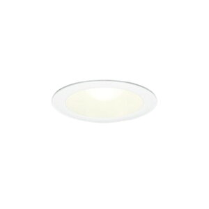�I�[�f���b�N LED�_�E�����C�g ���M�����100W���� ��100 �I�t�z���C�g �d���F:OD301071LR �����F:OD301071NR