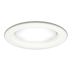 �I�[�f���b�N LED�_�E�����C�g ���M��60W���� ��������100 �����F:OD361204WDR