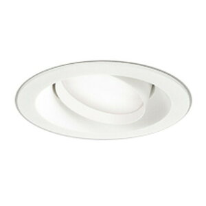 �I�[�f���b�N LED�_�E�����C�g ���M��100W���� ��������125 �����F:OD361241NDR �d���F:OD361241LDR