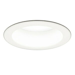 �I�[�f���b�N LED�_�E�����C�g ���M��100W���� ��������100 �����F:OD361471WDR