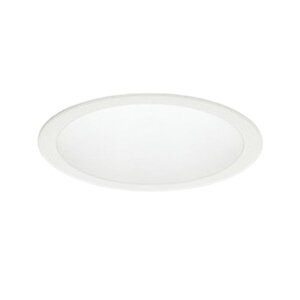 I[fbN LED_ECg 񒲌 100W 150 ItzCg F:OD361595R dF:OD361596R