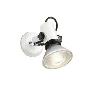 I[fbN GNXeA LEDX|bgCg vʔ r[150W 񒲌 hJ^ ZT[ʔ ItzCg:OG044111P1 ubN:OG044112P1 }bgVo[:OG044113P1