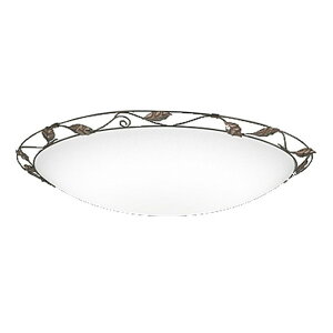 �I�[�f���b�N LED�V�[�����O���C�g �`6�� ���� ���F �N�C�b�NA OL251170R