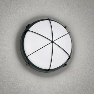 �I�[�f���b�N�G�N�X�e���A LED�|�[�`���C�g�h�J�E�h���^ FCL30W���� ���F�����F�FOG254596NR