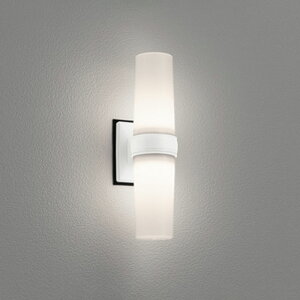 �I�[�f���b�N�G�N�X�e���A LED�|�[�`���C�g�h�J�E�h���^ FL15W���� �I�t�z���C�g�F�����F3500K�FOG254894WR