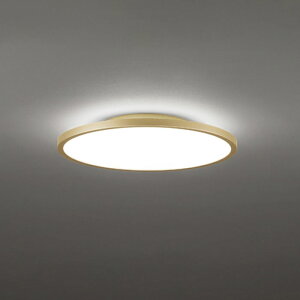 �I�[�f���b�N LED�V�[�����O���C�g �`12�� �T�e���S�[���h�F OL291810BR