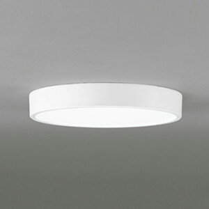 �I�[�f���b�N ���^LED�V�[�����O���C�g �I�t�z���C�g OL291820R