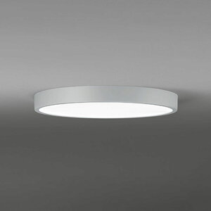 �I�[�f���b�N LED�V�[�����O���C�g �`8�� ���C�g�O���[�F OL291831BR