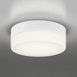 �I�[�f���b�N�G�N�X�e���A LED�|�[�`���C�g�h�J�E�h���^ FCL30W���� ���F�����F3500K�FOW269034WR