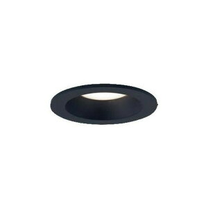 �p�i�\�j�b�N LED�_�E�����C�g ���M�d��60�`1������ �g�U ��������75 �d���F:LGD1001LLE1