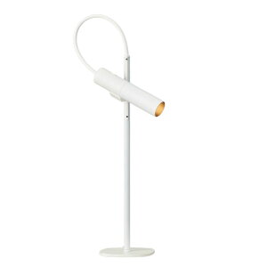 RcƖ LEDX^hCg fXNCg x[X^Cv Z-Light([bgCg)  zCg dF:ZR-30 W-LL F:ZR-30 W-N