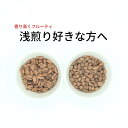 [ フルーティ ] 浅煎り 珈琲豆 2種類セット スペシャルティコーヒー シングルオリジン エチオピア イルガテェフェ / ニカラグア リモンシージョ ブルボン 合計300g（珈琲粉 珈琲専門店 自家焙煎 ドリップコーヒー メール便　送料無料）
