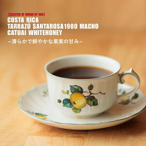  蓤 RX^J ^X T^T1900 }` JcAC zCgnj[ XyVeBR[q[